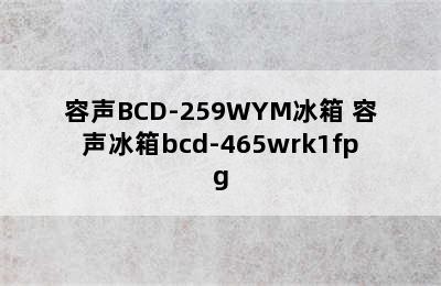 容声BCD-259WYM冰箱 容声冰箱bcd-465wrk1fpg